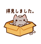 【ビジネス】ぷくネコたちのスタンプ2（個別スタンプ：12）