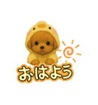 可愛い～ワン＆ニャン②（個別スタンプ：7）