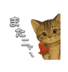 可愛い～ワン＆ニャン②（個別スタンプ：9）