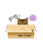 可愛い～ワン＆ニャン②（個別スタンプ：10）
