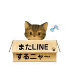 可愛い～ワン＆ニャン②（個別スタンプ：13）