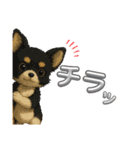 可愛い～ワン＆ニャン②（個別スタンプ：14）