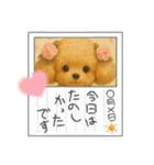 可愛い～ワン＆ニャン②（個別スタンプ：15）