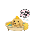 可愛い～ワン＆ニャン②（個別スタンプ：16）