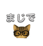 可愛い～ワン＆ニャン②（個別スタンプ：17）