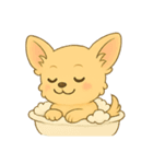 チワワちゃん。2（個別スタンプ：17）