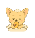 チワワちゃん。2（個別スタンプ：19）