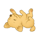 チワワちゃん。2（個別スタンプ：36）