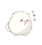 もふふわポメラニアン♡感情を伝える（個別スタンプ：20）