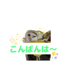 ゆっくりタマの日常挨拶使えるスタンプ3（個別スタンプ：2）