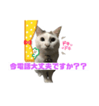ゆっくりタマの日常挨拶使えるスタンプ3（個別スタンプ：6）