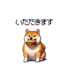食べるの大好き太っちょ柴犬 グルメ（個別スタンプ：3）