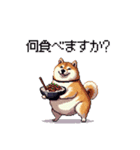 食べるの大好き太っちょ柴犬 グルメ（個別スタンプ：6）