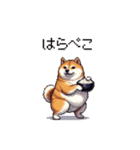 食べるの大好き太っちょ柴犬 グルメ（個別スタンプ：8）