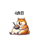 食べるの大好き太っちょ柴犬 グルメ（個別スタンプ：9）