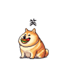 食べるの大好き太っちょ柴犬 グルメ（個別スタンプ：19）