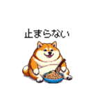 食べるの大好き太っちょ柴犬 グルメ（個別スタンプ：22）