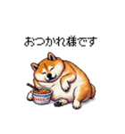食べるの大好き太っちょ柴犬 グルメ（個別スタンプ：24）