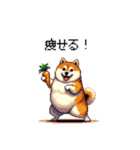 食べるの大好き太っちょ柴犬 グルメ（個別スタンプ：25）