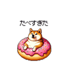 食べるの大好き太っちょ柴犬 グルメ（個別スタンプ：33）