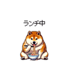 食べるの大好き太っちょ柴犬 グルメ（個別スタンプ：34）