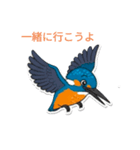 大好きカワセミ！（個別スタンプ：3）