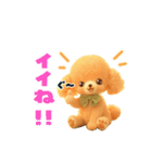 ふわもこ☆トイプードル（個別スタンプ：4）