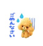 ふわもこ☆トイプードル（個別スタンプ：24）