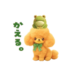 ふわもこ☆トイプードル（個別スタンプ：40）