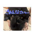 私生活でも使える森園公貴のスタンプ3（個別スタンプ：15）