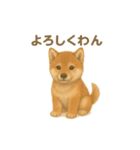 日本犬の子犬くんシリーズ2025（個別スタンプ：1）