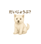 日本犬の子犬くんシリーズ2025（個別スタンプ：5）