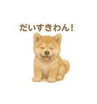 日本犬の子犬くんシリーズ2025（個別スタンプ：7）