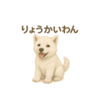 日本犬の子犬くんシリーズ2025（個別スタンプ：9）