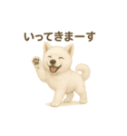 日本犬の子犬くんシリーズ2025（個別スタンプ：11）