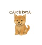 日本犬の子犬くんシリーズ2025（個別スタンプ：12）