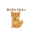 日本犬の子犬くんシリーズ2025（個別スタンプ：13）