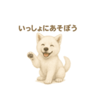 日本犬の子犬くんシリーズ2025（個別スタンプ：14）
