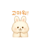 ふわふわうさぎ韓国語（個別スタンプ：1）