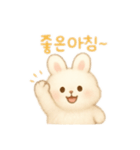 ふわふわうさぎ韓国語（個別スタンプ：2）