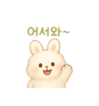 ふわふわうさぎ韓国語（個別スタンプ：4）