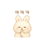 ふわふわうさぎ韓国語（個別スタンプ：5）