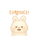 ふわふわうさぎ韓国語（個別スタンプ：6）