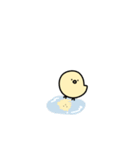 一匹狼のヒヨコ（個別スタンプ：9）