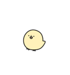 一匹狼のヒヨコ（個別スタンプ：11）