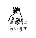 政治家オカメインコ（個別スタンプ：4）