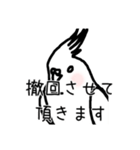 政治家オカメインコ（個別スタンプ：20）