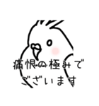 政治家オカメインコ（個別スタンプ：23）
