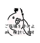 政治家オカメインコ（個別スタンプ：24）