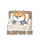 おうちでまったり柴犬シュウイチ（個別スタンプ：12）